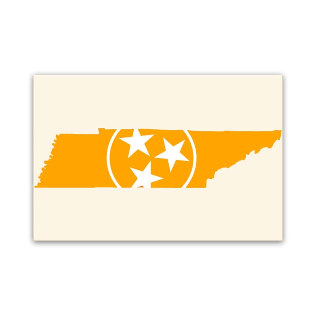 Orange &amp; White Tennessee Flag Silhouette Canvas Wall Art Print