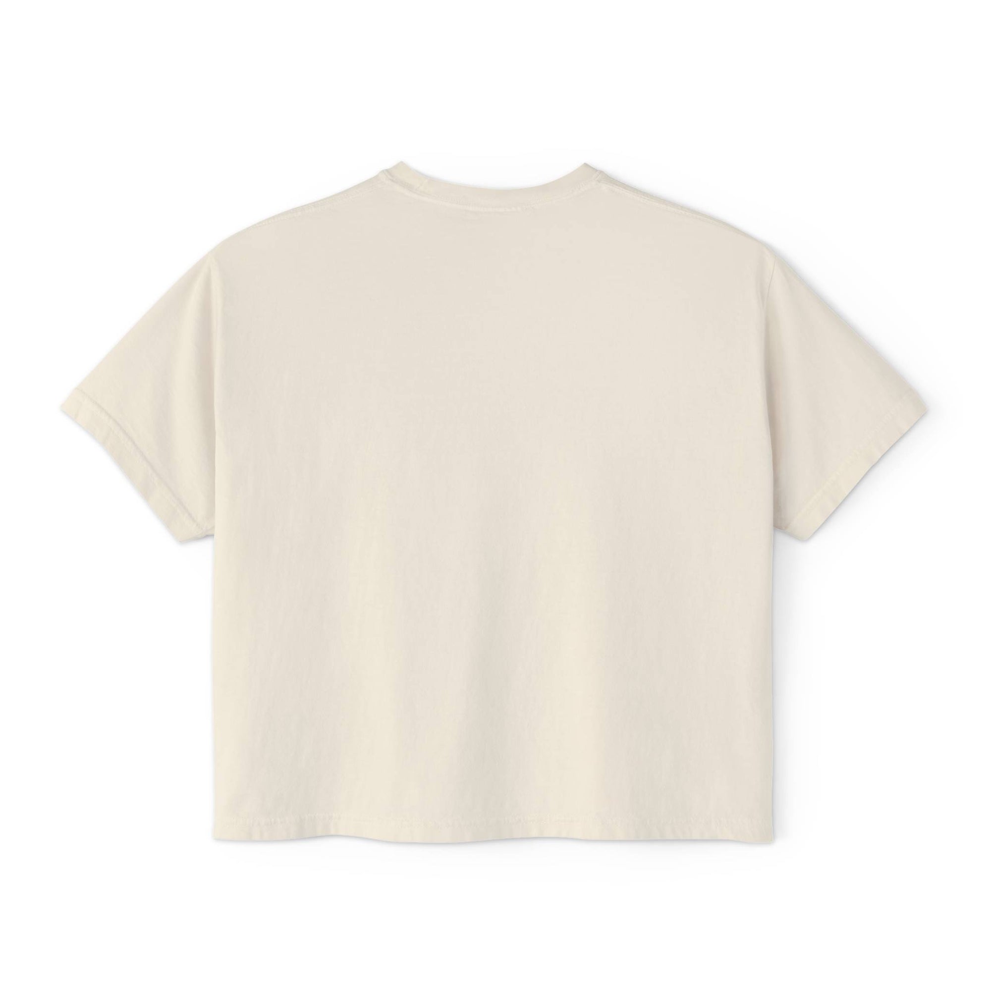 Cropped Nashville Titans Tennessee Flag T Shirt