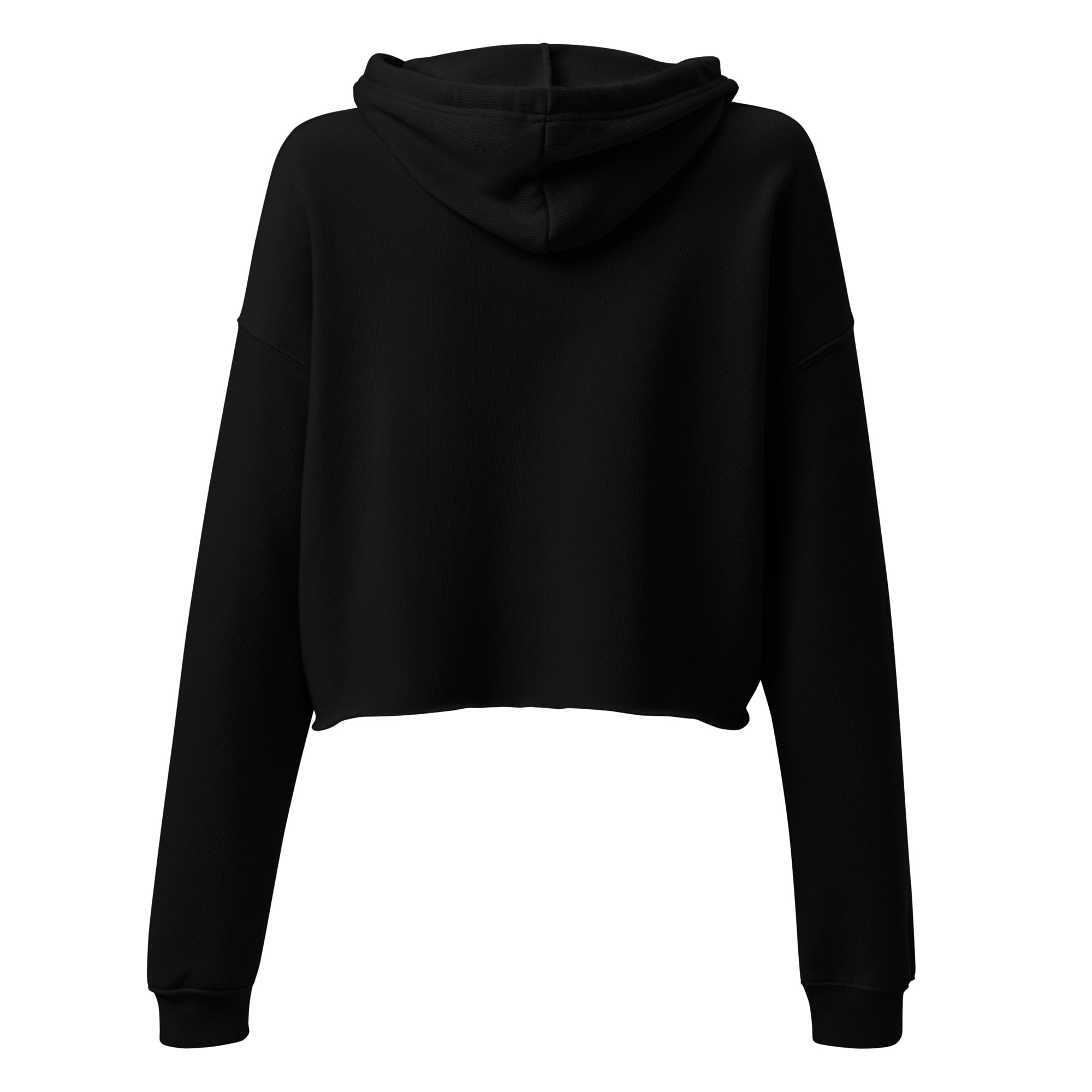 Ohio Border Cropped Hoodie