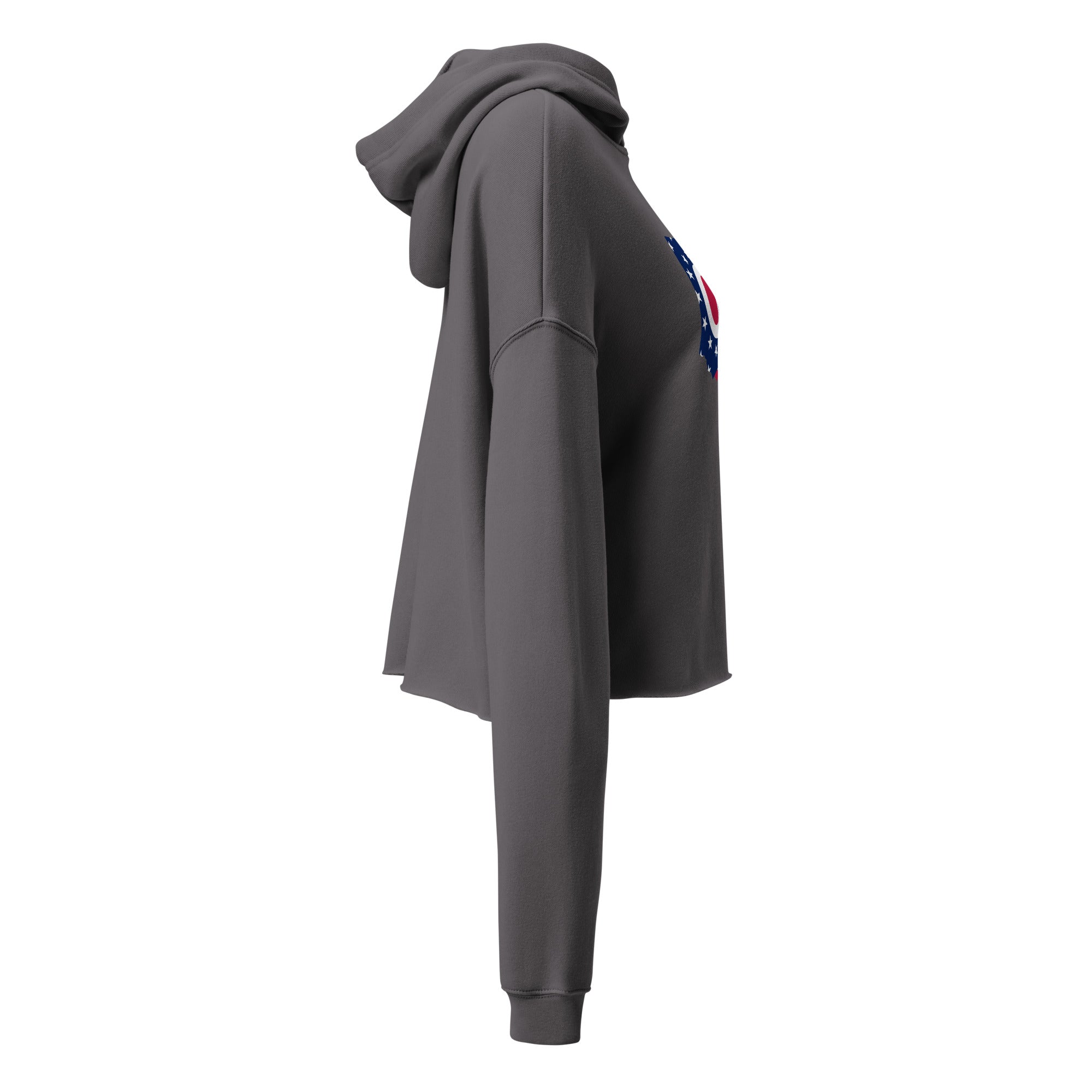 Ohio Flag Cropped Hoodie
