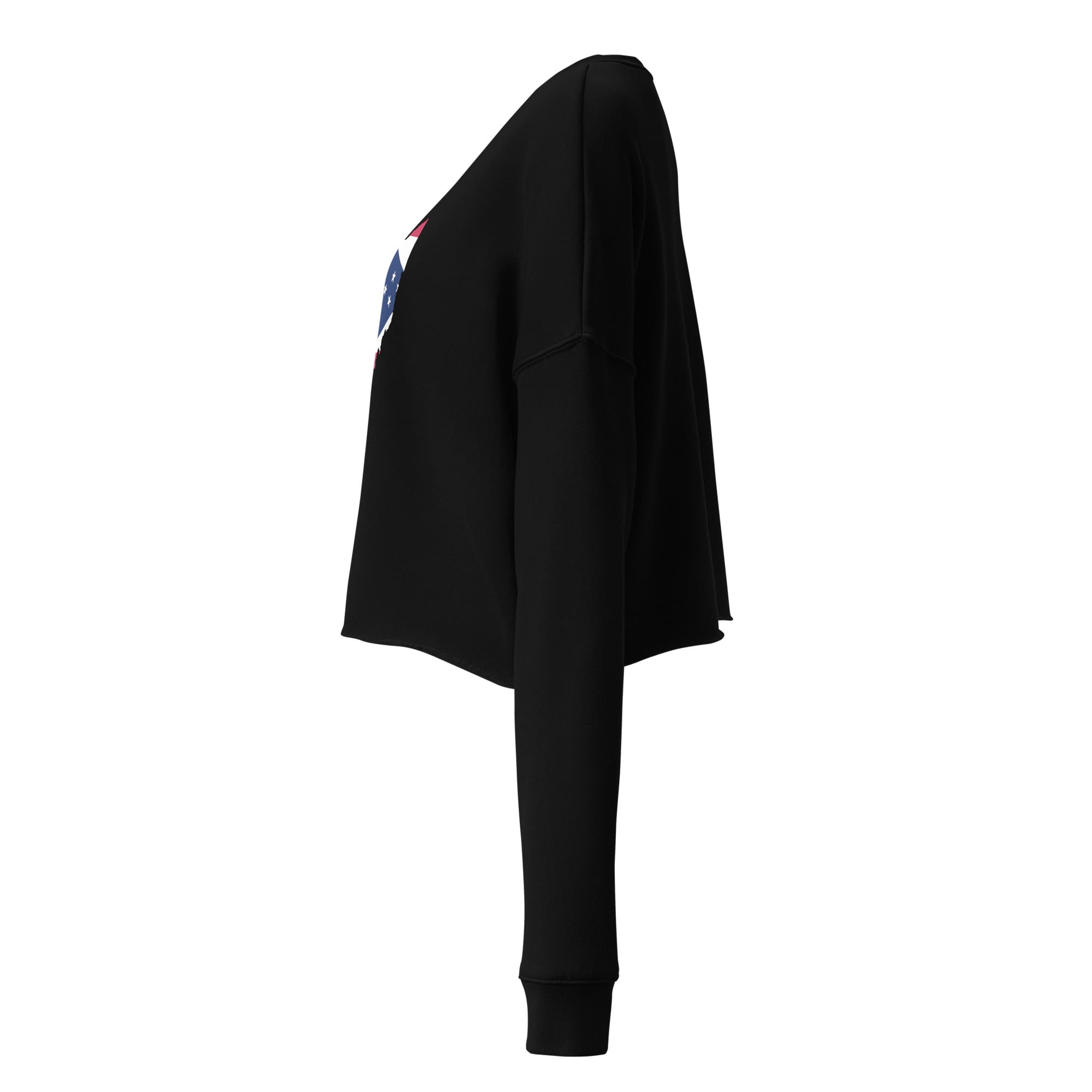 Ohio Flag Cropped Sweatshirt