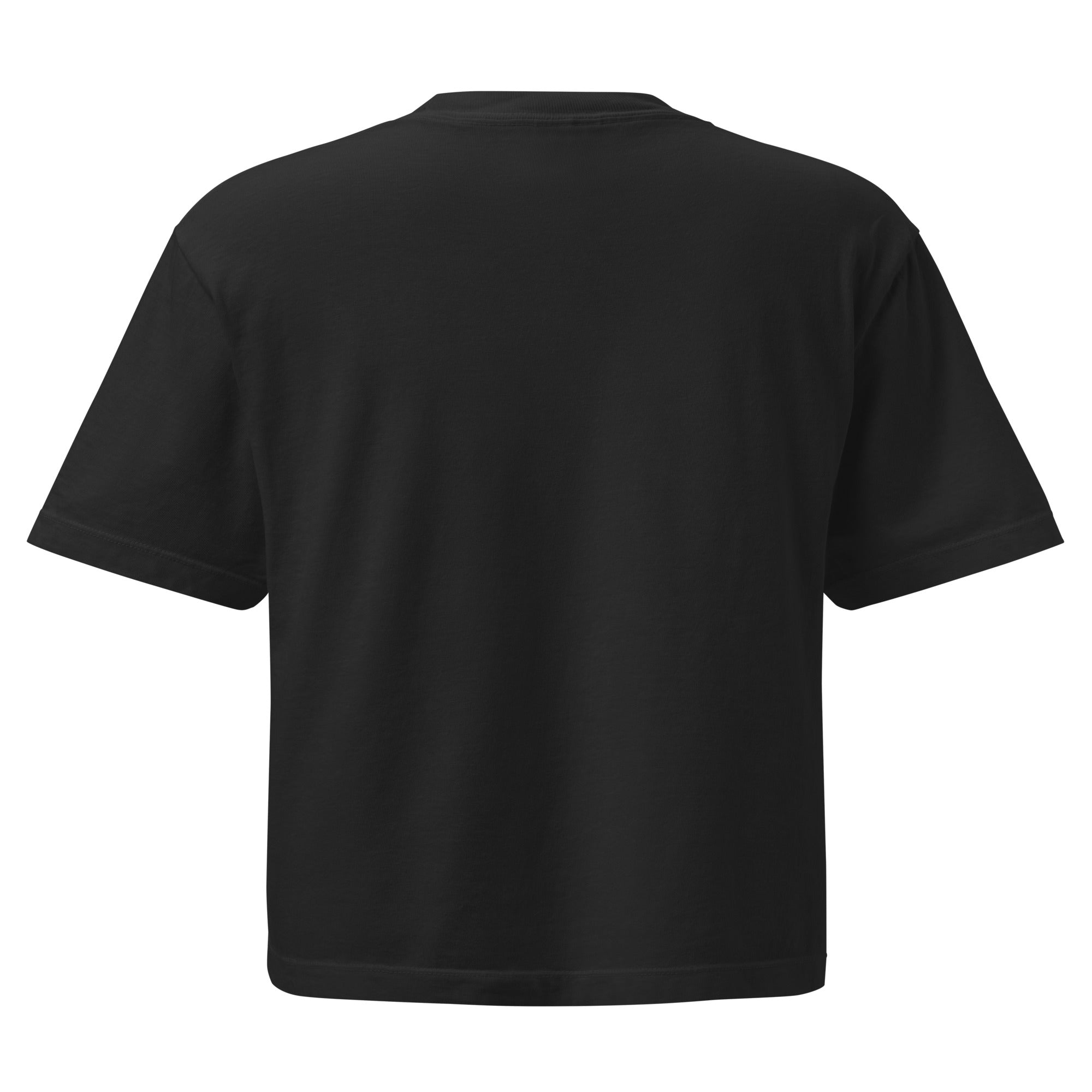 Cincinnati Map Cropped T Shirt