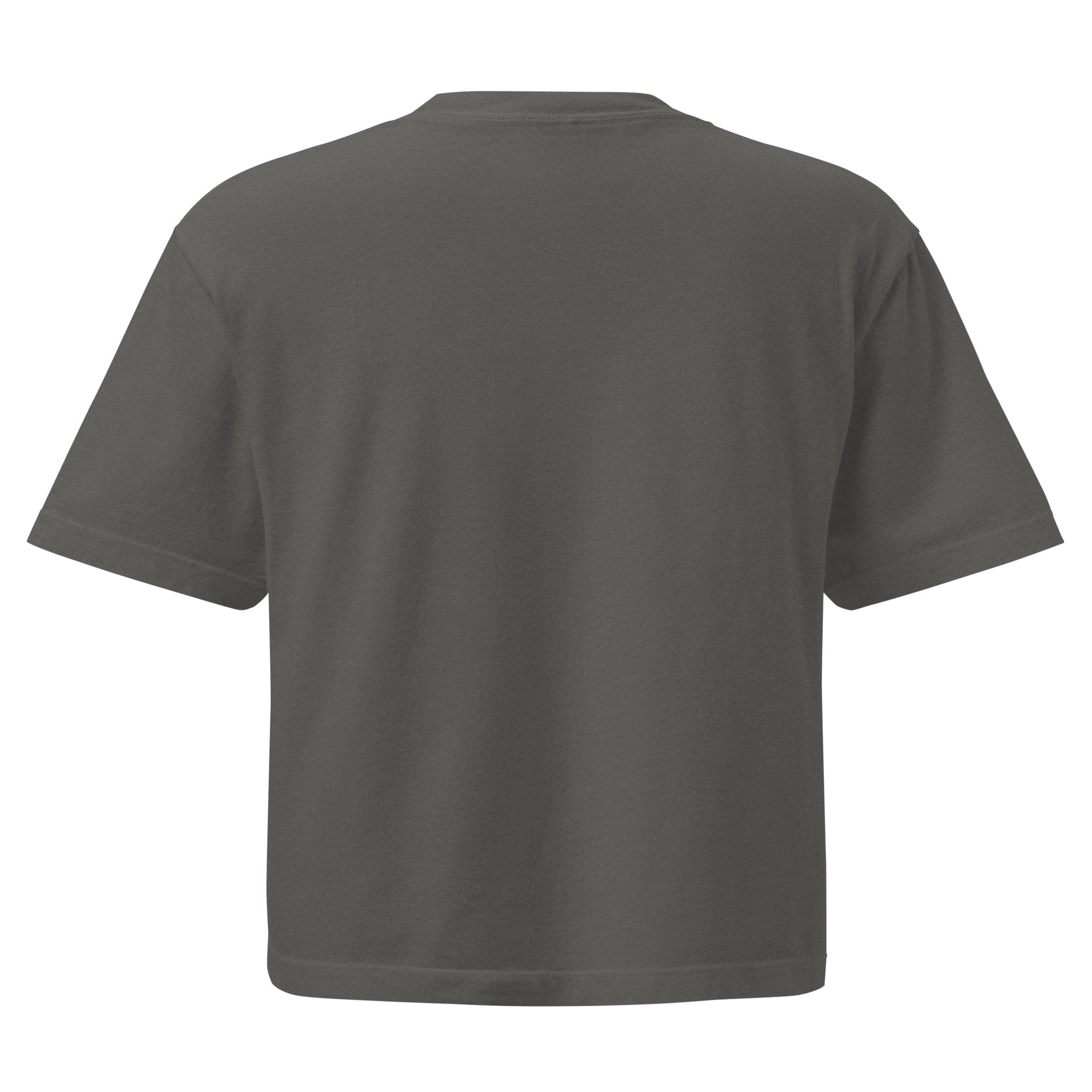 Ohio Border Cropped T Shirt