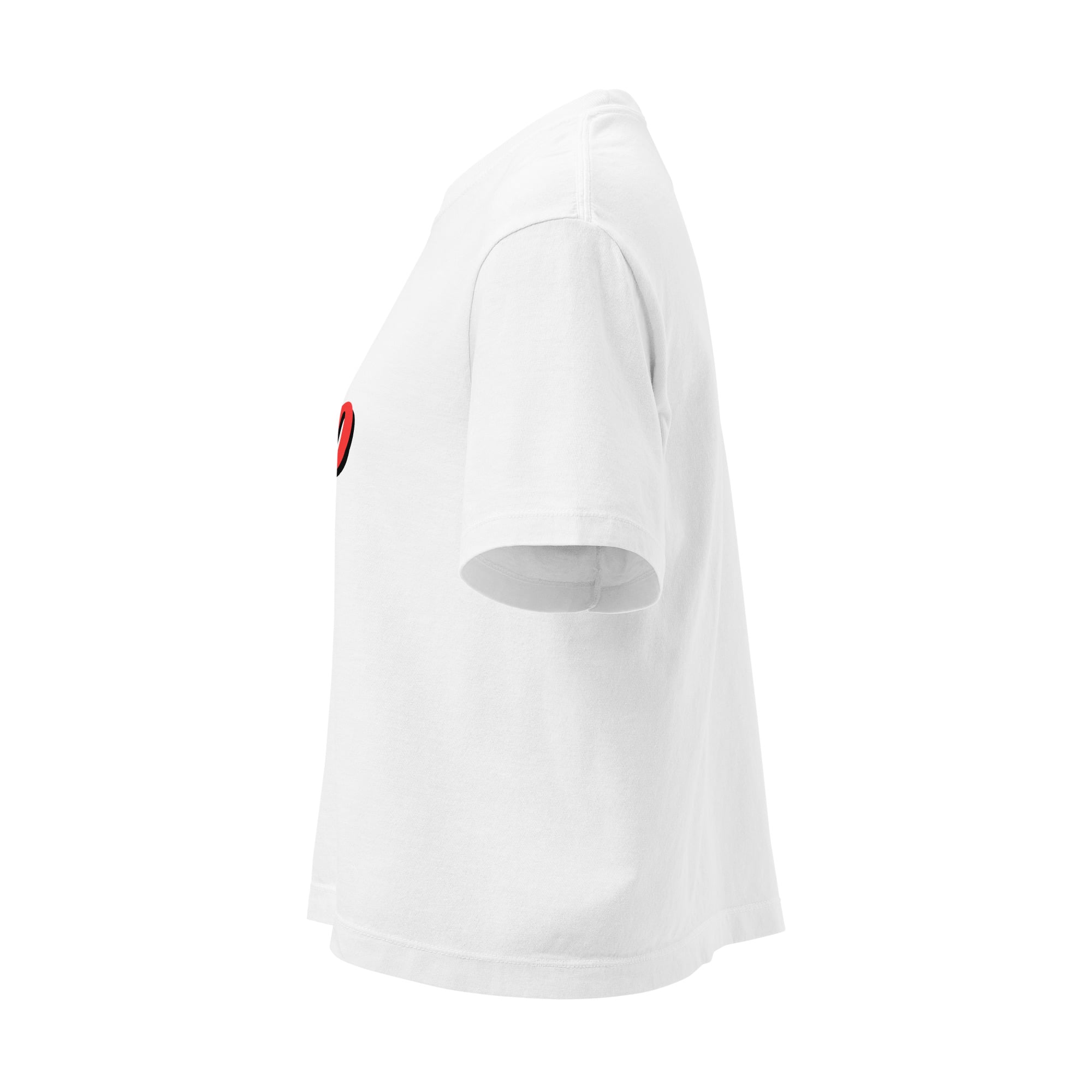 3D Ohio Cropped T Shirt