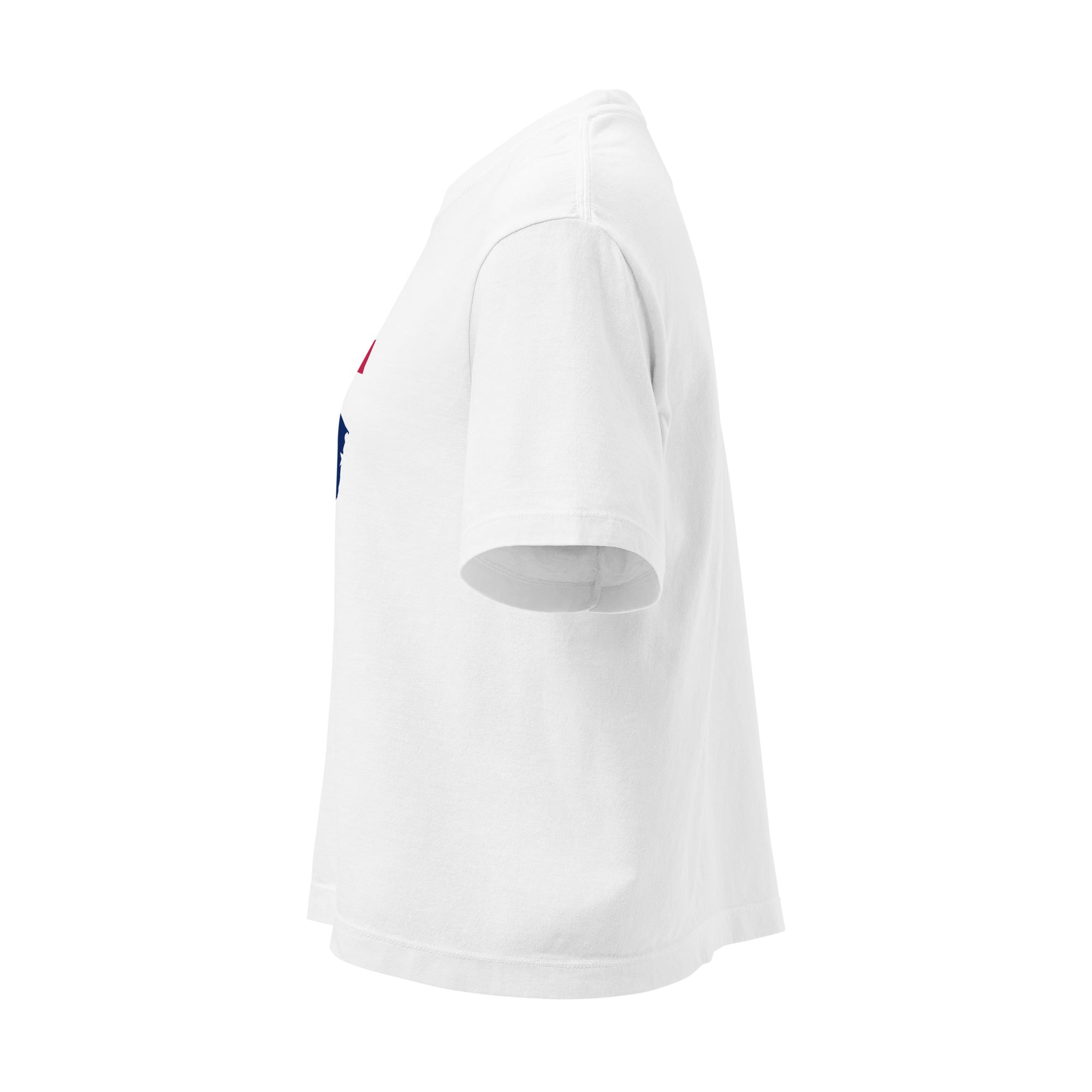 Ohio Flag Cropped T Shirt